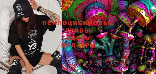 PSILOCYBIN Богданович