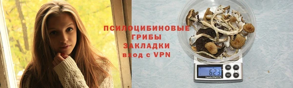 PSILOCYBIN Богданович