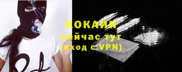 PSILOCYBIN Богданович