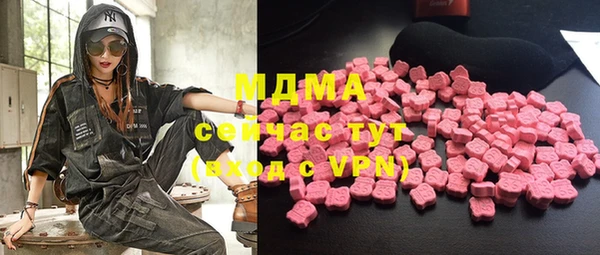мдпв Каменка