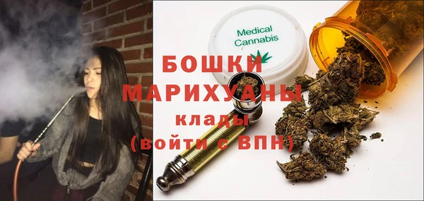PSILOCYBIN Богданович