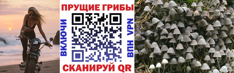 Псилоцибиновые грибы ЛСД  что такое наркотик  Кириллов 